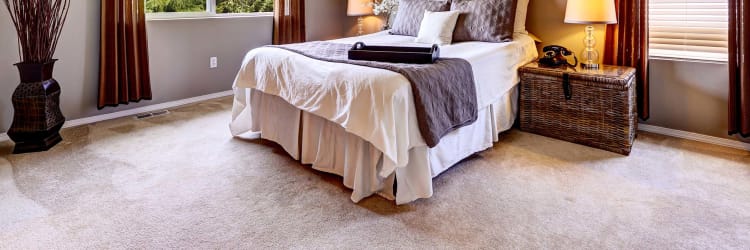 High Quality Carpet Flooring Designs