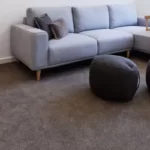 Latest Trend Carpet Flooring