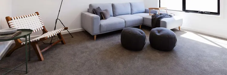 Latest Trend Carpet Flooring