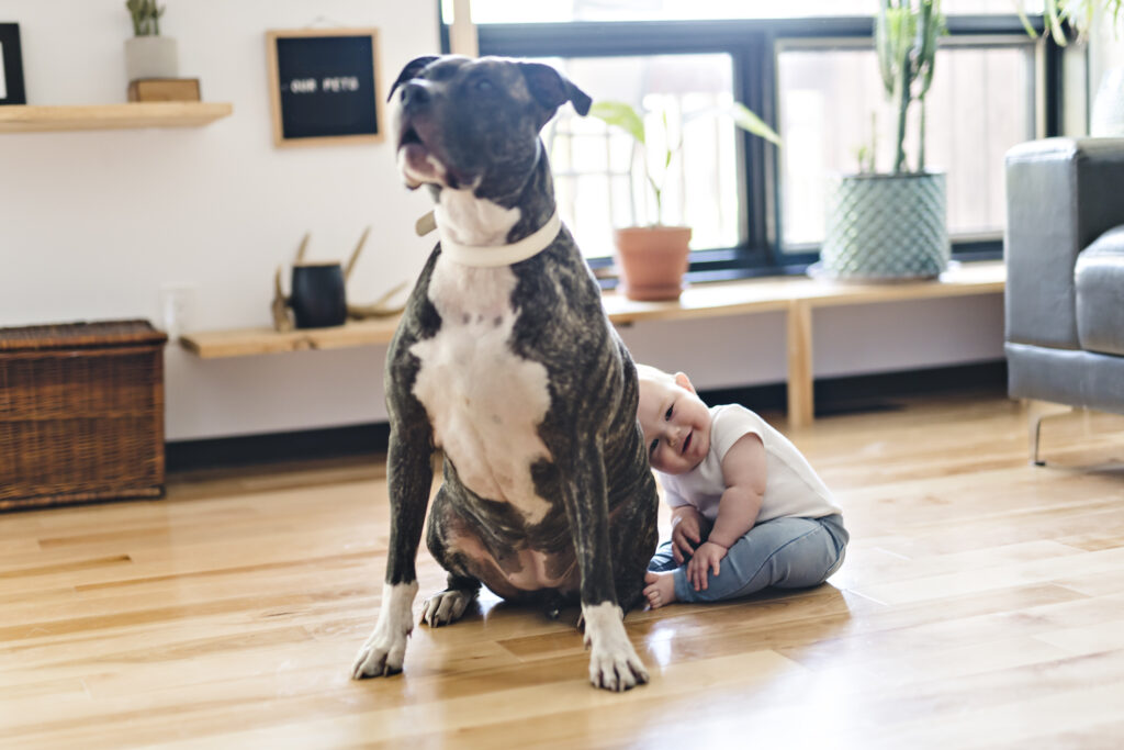 Best Laminate Flooring Services