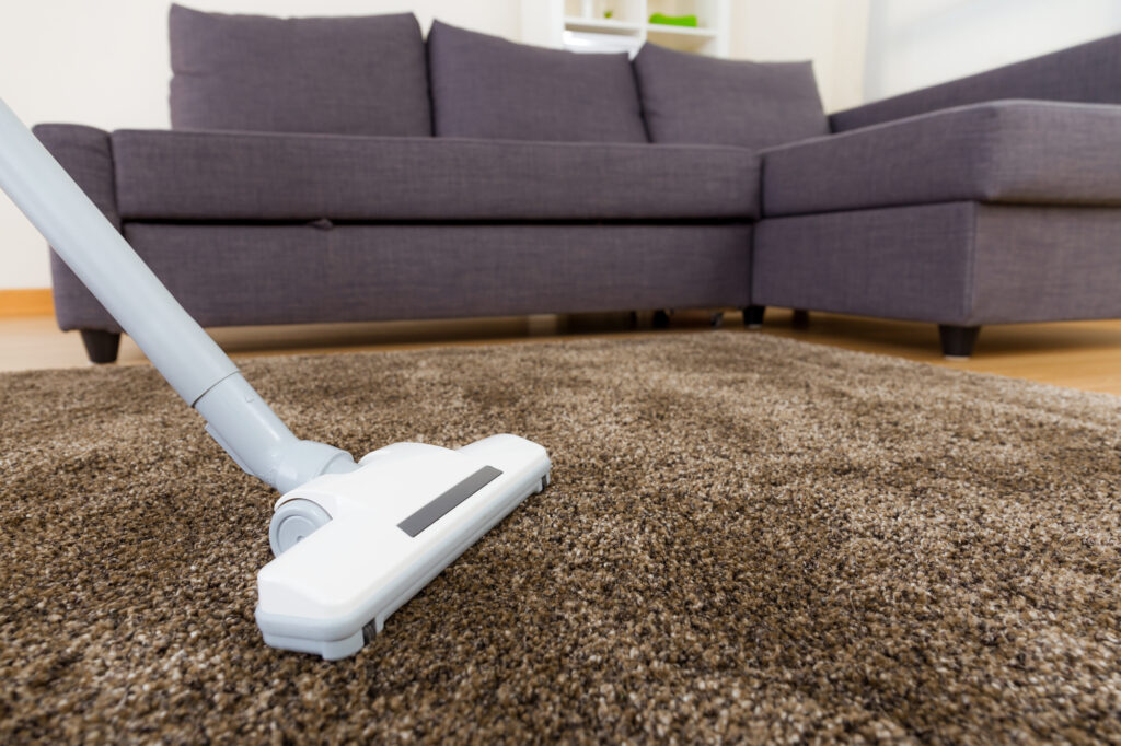 Best Carpet Vacuum Cleaners