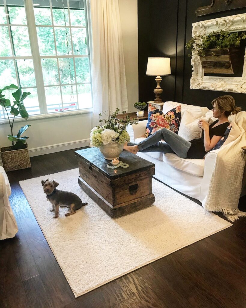 Pet Friendly Carpets