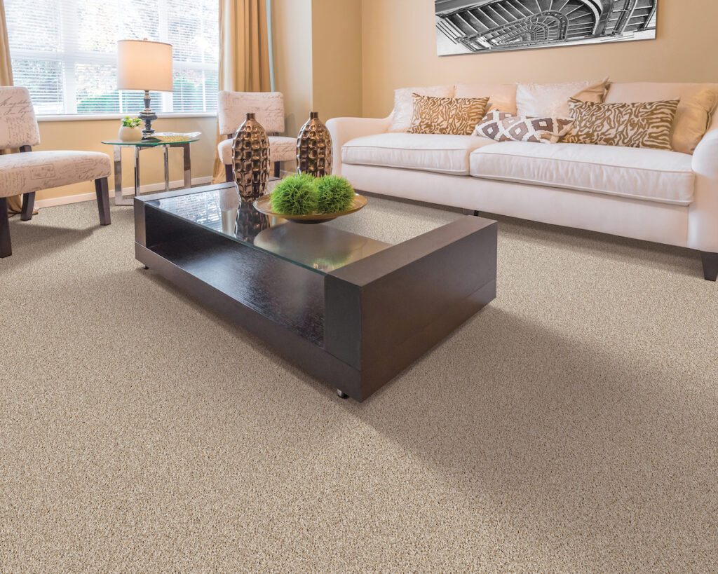 Expert Advice on Carpet Flooring in Albuquerque, New Mexico Expert Advice on Carpet Flooring