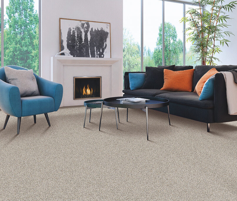 Best Carpet Designs for your Home