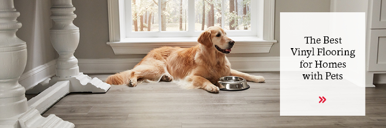 Pet Friendly Vinyl Flooring Services