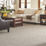 Carpets Stain Removal Advice