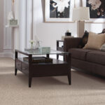 Best Soft Carpets