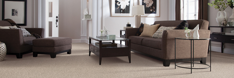 Best Soft Carpets