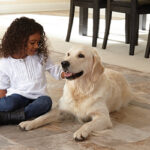 Excellent Flooring Ideas