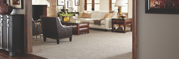 Carpets Stain Removal Advice