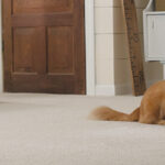 Carpet Flooring Tips