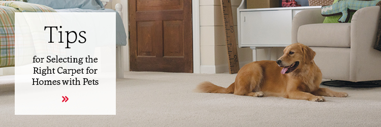 Carpet Flooring Tips