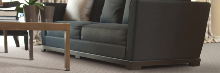 Carpet Cleaning Advisor