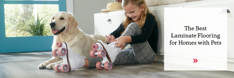 Pet Friendly Laminate Flooring