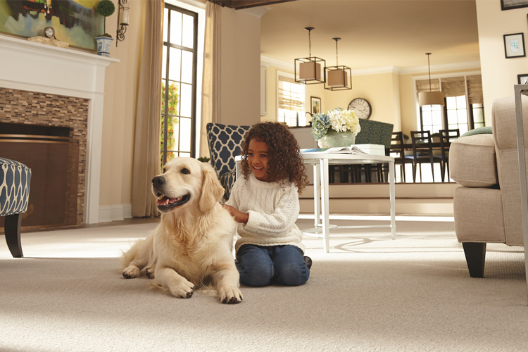 Flooring Carpet Cleaning Services
