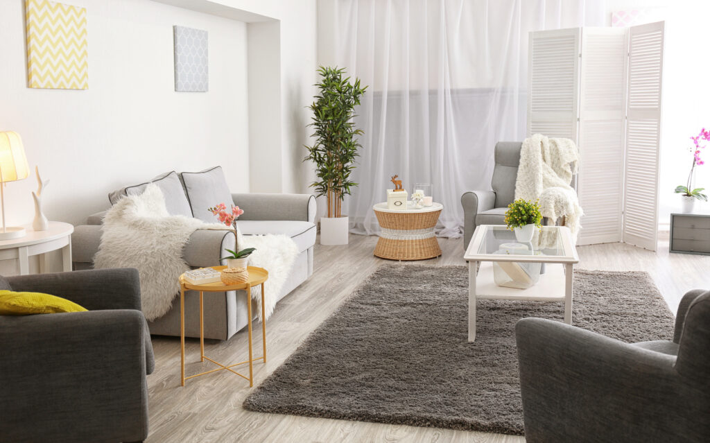 Elegant Carpet with Cushion for home
