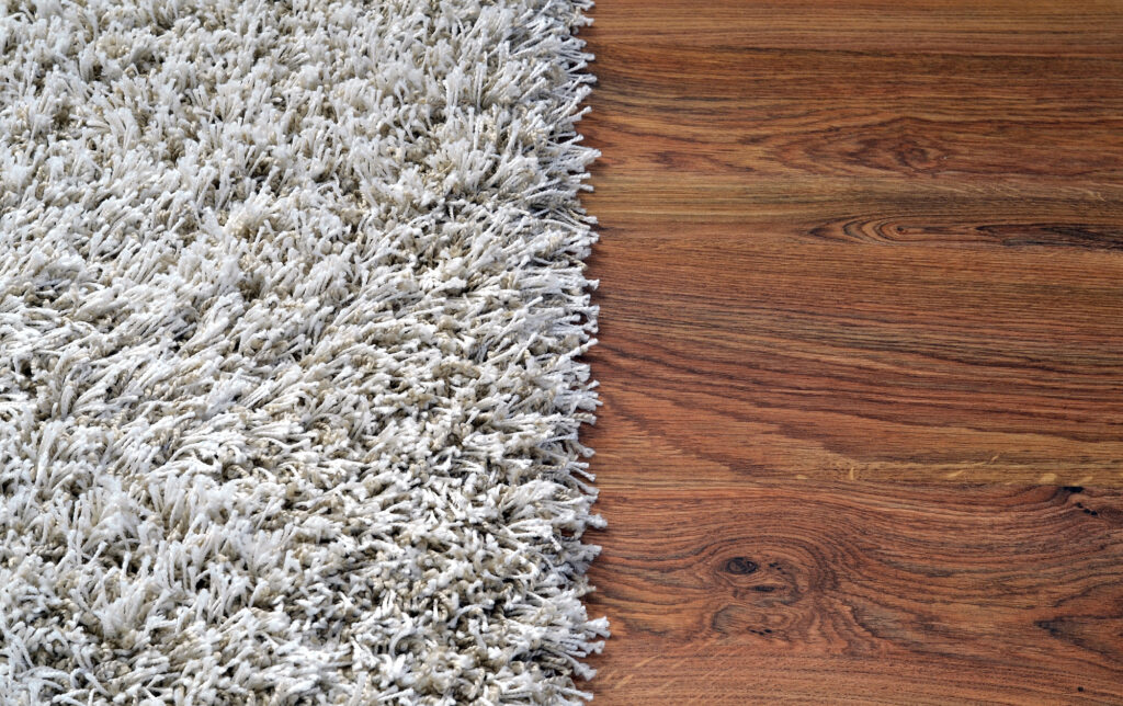 Elegant Flooring Carpets for Home